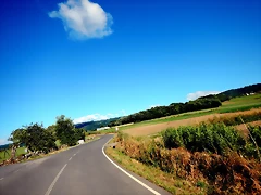 DSCN6785 DSCN6785