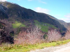 DSCN7820 DSCN7820