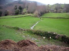 DSCN2793 DSCN2793