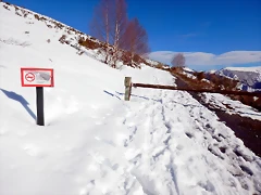 DSCN1851 DSCN1851