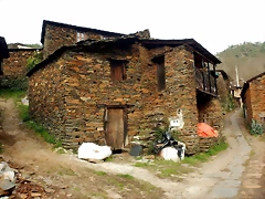DSCN3217 DSCN3217