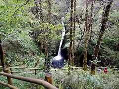 DSCN0714 DSCN0714
