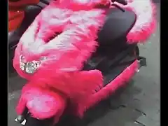 FurryScoot