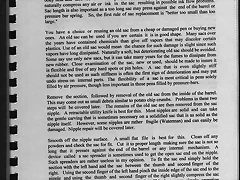Fountain Pens 009 Fountain Pens 009