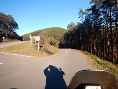 DSCN2603 DSCN2603