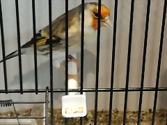 IMG_20170122_131205 IMG_20170122_131205