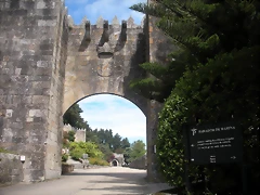 DSCN7572 DSCN7572