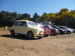P1030066 P1030066