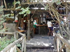 DSCN7882