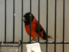 IMG_20170122_132211 IMG_20170122_132211