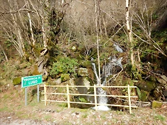 DSCN4866 DSCN4866