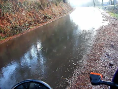 DSCN7486 DSCN7486