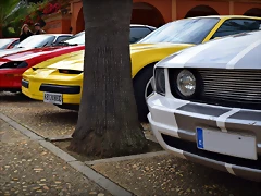 DSC_0788 DSC_0788