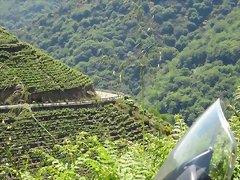 IMG_2781 IMG_2781