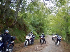 DSCN9559 DSCN9559