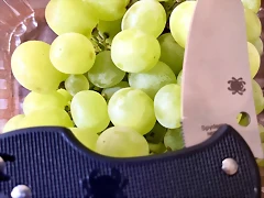 IMG_6816