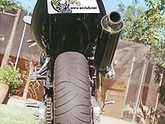 Dan3 (300 x 449)