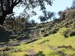 07, caminando hacia la loma, marca