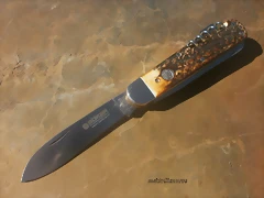 P5160298 P5160298
