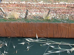 DSC_0681 DSC_0681