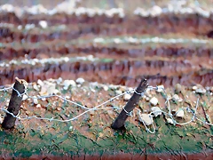 DSC_0616 DSC_0616