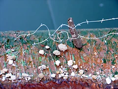 DSC_0622 DSC_0622