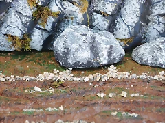 DSC_0597 DSC_0597