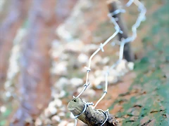 DSC_0618 DSC_0618