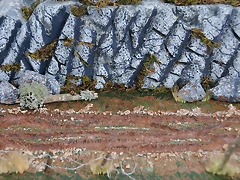 DSC_0689 DSC_0689
