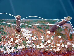 DSC_0621 DSC_0621