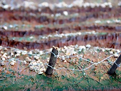 DSC_0615 DSC_0615