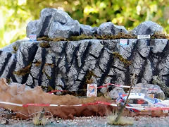 DSC_1294 DSC_1294