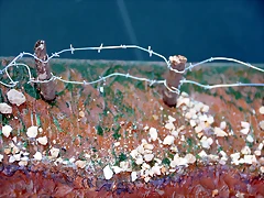 DSC_0620 DSC_0620