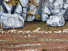 DSC_0598 DSC_0598