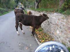DSCN1619 DSCN1619