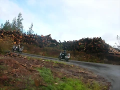 DSCN1573 DSCN1573