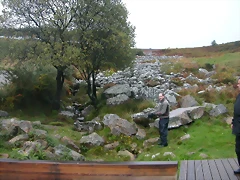 DSCN1529 DSCN1529
