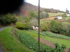 DSCN1575 DSCN1575