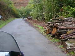 DSCN1559 DSCN1559