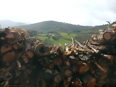 DSCN1574 DSCN1574