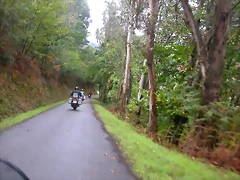DSCN1551 DSCN1551