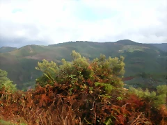 DSCN1583 DSCN1583