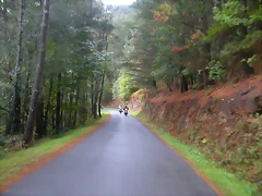 DSCN1535 DSCN1535