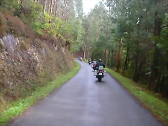 DSCN1547 DSCN1547