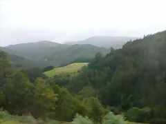 DSCN1555 DSCN1555