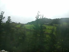DSCN1549 DSCN1549