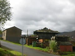 DSCN1584 DSCN1584