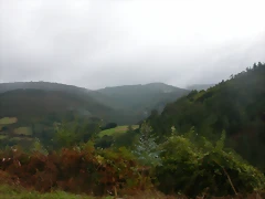 DSCN1554 DSCN1554
