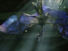 800px-Stingbat 800px-Stingbat