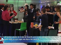 Fiesta premios gh 17 Fiesta premios gh 17